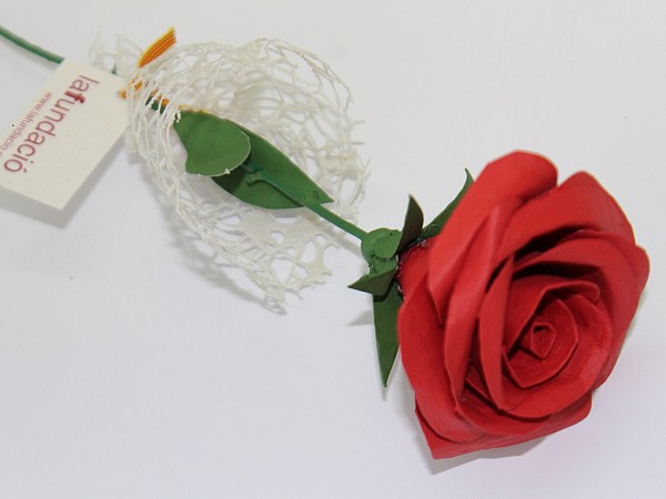 On St. George's Day, our roses arrive at the Primary Care Centers