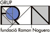Ramon Noguera Group Foundation