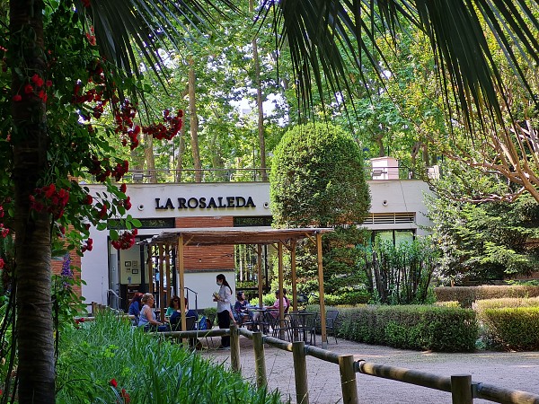 The rose garden in the gardens of La Rosaleda in Temps de Flors