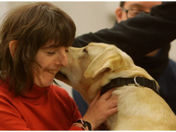 Vota el nostre projecte a de Teràpia assistida amb gossos