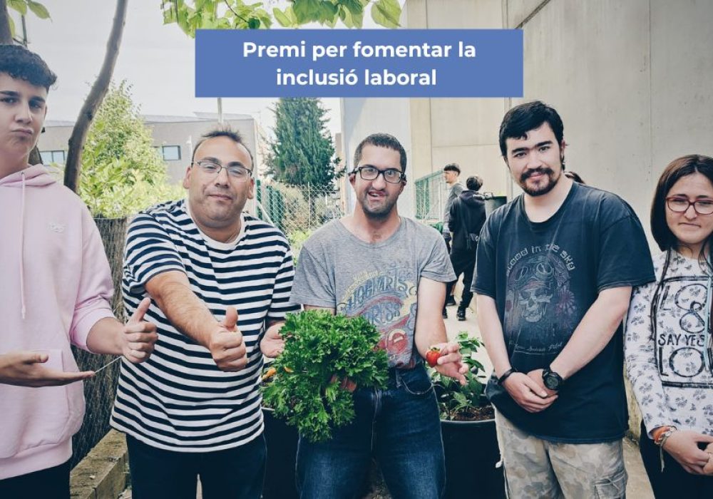 Capçalera blog 2025 (1)