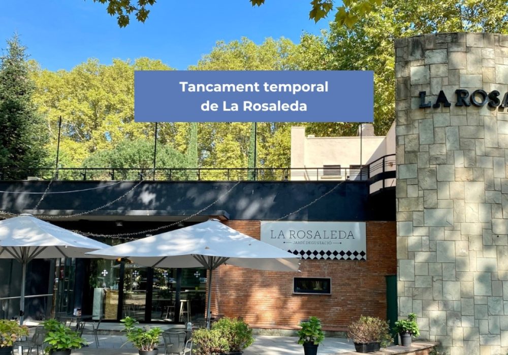 Capçalera blog 2025 (2)